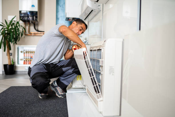 Best Air Duct Sanitizing Services  in East Lake Orient Park, FL