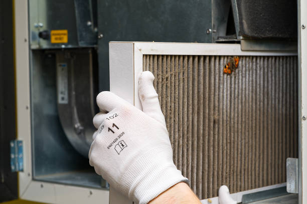 Best Ductwork Cleaning Services  in East Lake Orient Park, FL